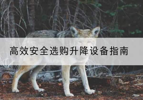 资兴升降货梯厂家推荐-*安全选购升降设备指南