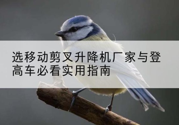 资兴电动升降机厂家-选移动剪叉升降机厂家与登高车必看实用指南