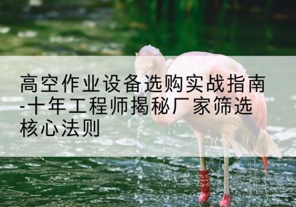 资兴剪叉式升降机厂家-高空作业设备选购实战指南-十年工程师揭秘厂家筛选核心法则
