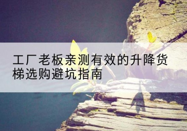 资兴升降货梯怎么选-工厂老板亲测有效的升降货梯选购避坑指南